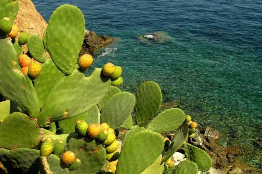 فيلا Rifugio Di Sole كوبرتينو المظهر الخارجي الصورة